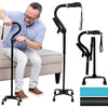 Stand Assist Cane